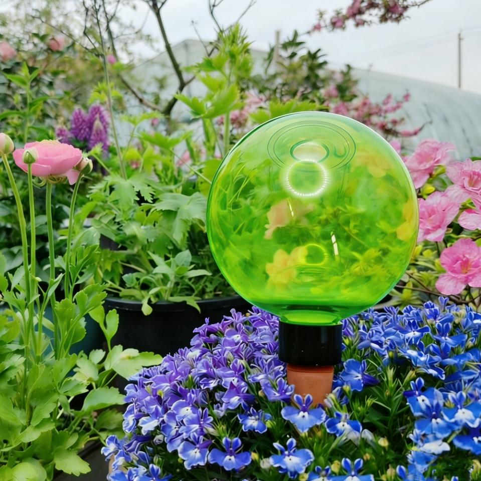 Self-Watering Planter - 3pcs Large Plant Self Watering Globes