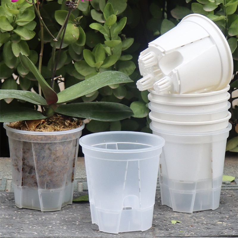 Orchid Potting Mix - 5pcs Transparent Orchid Pot with Holes