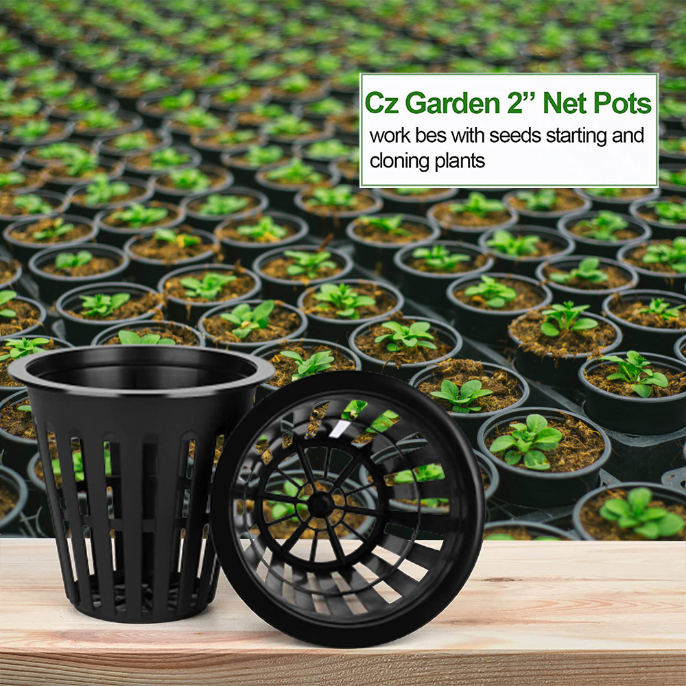 Orchid Potting Mix - 2inch Garden Nursery Pots Plant Net
