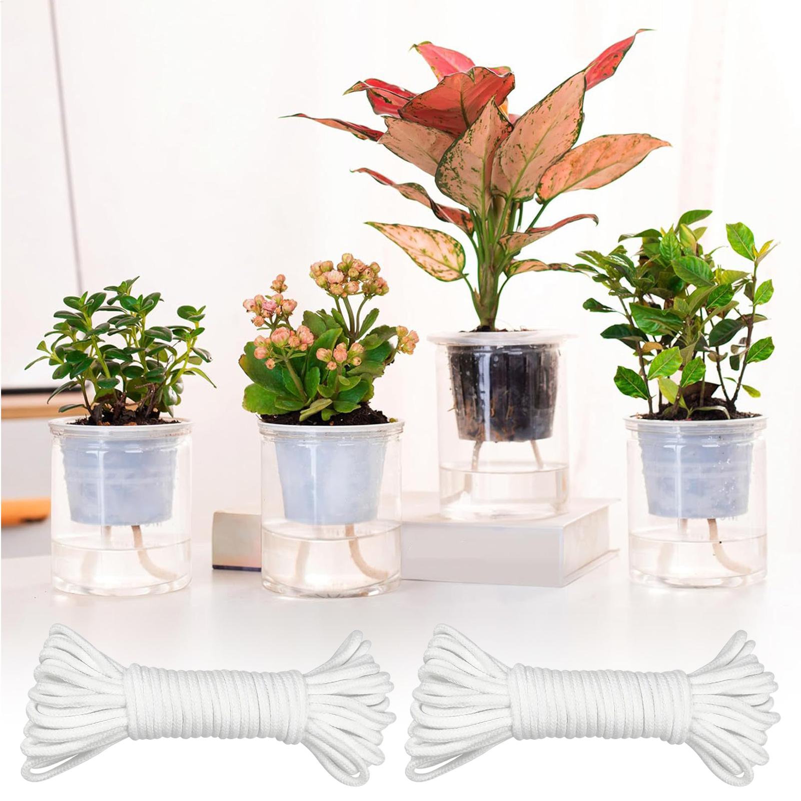 Plant Wicks For Self Watering  - Self-Watering Planter ulasan dan harga