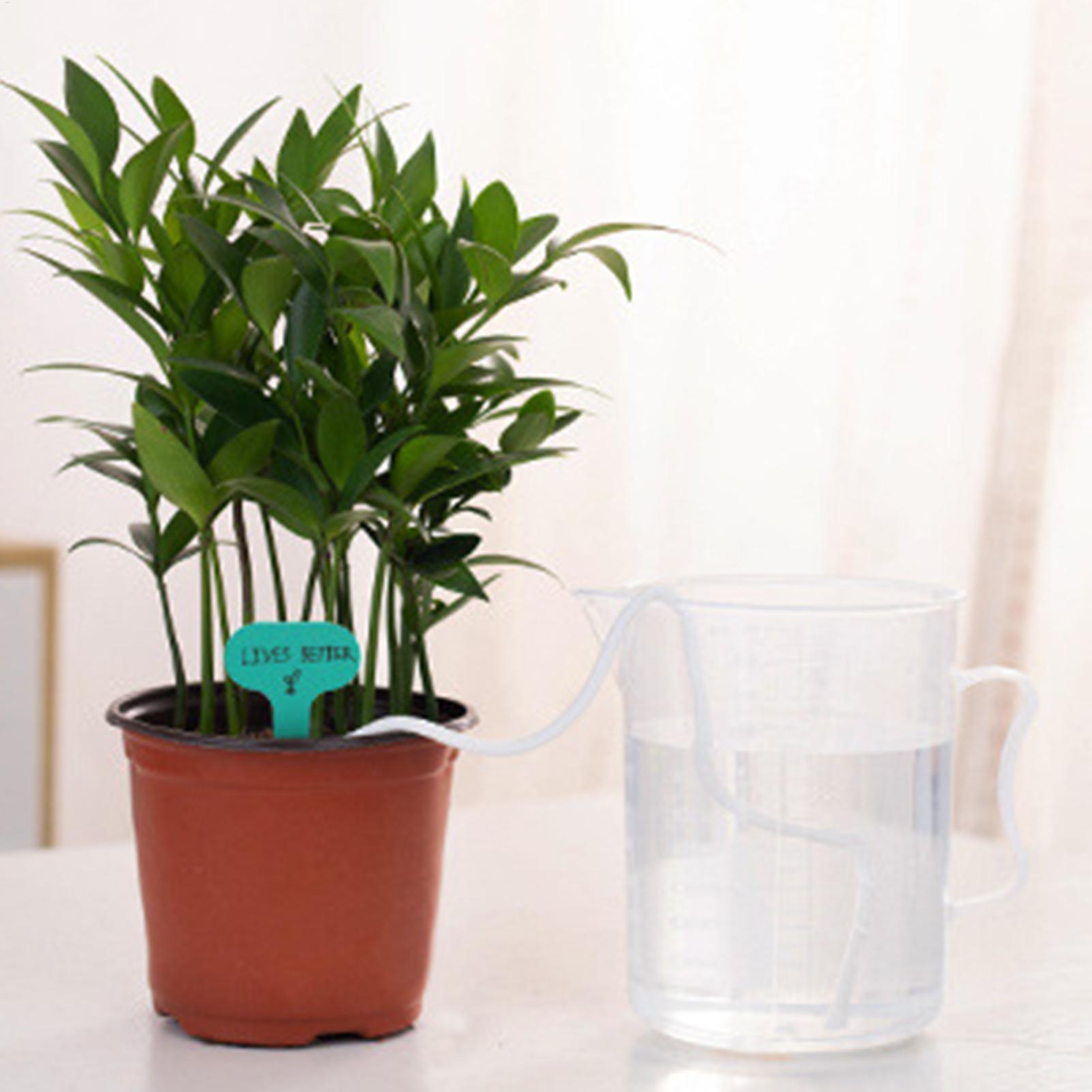 Plant Wicks For Self Watering  - Self-Watering Planter ulasan dan harga