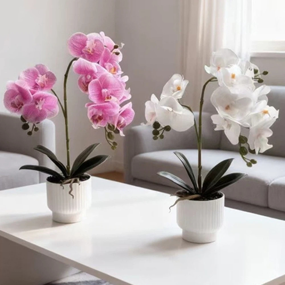 Multi-Bloom Simulated Butterfl - Orchid Potting Mix ulasan dan harga