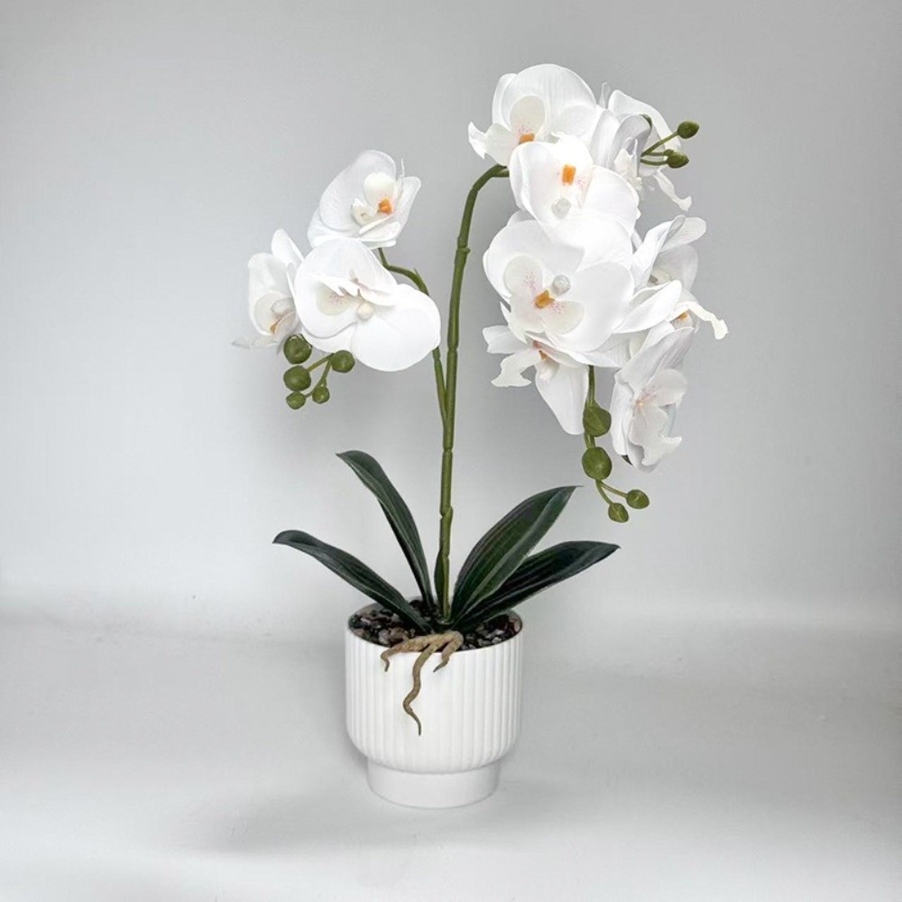 Multi-Bloom Simulated Butterfl - Orchid Potting Mix ulasan dan harga