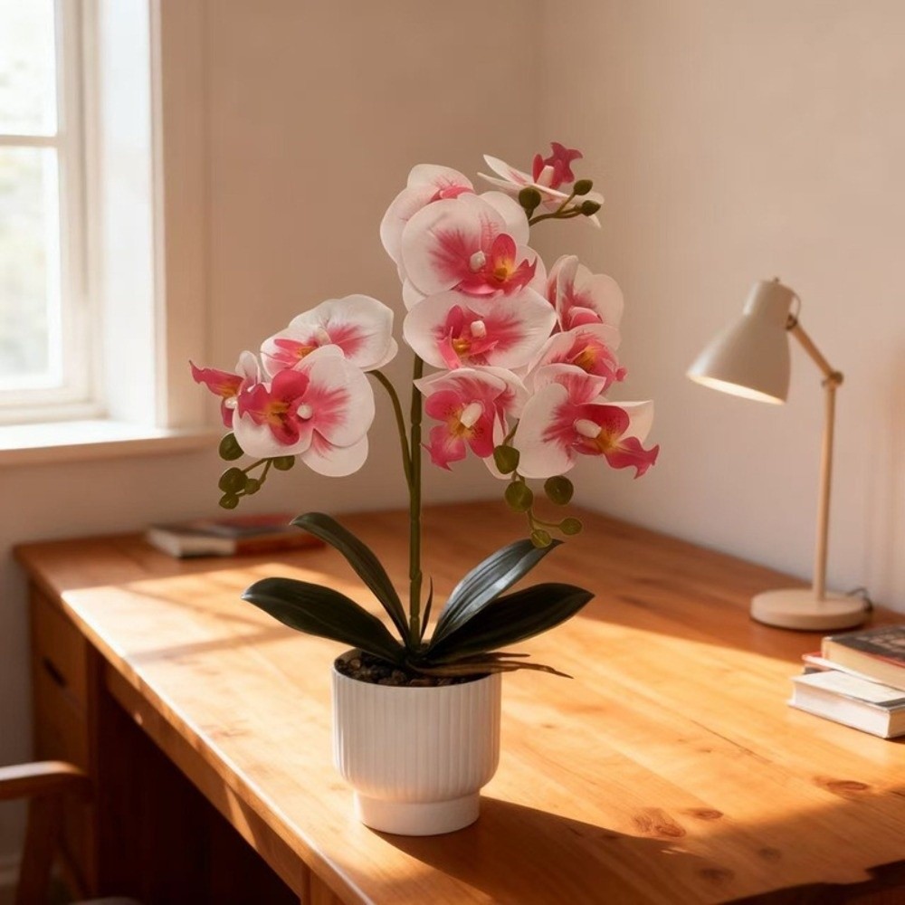 Multi-Bloom Simulated Butterfl - Orchid Potting Mix ulasan dan harga
