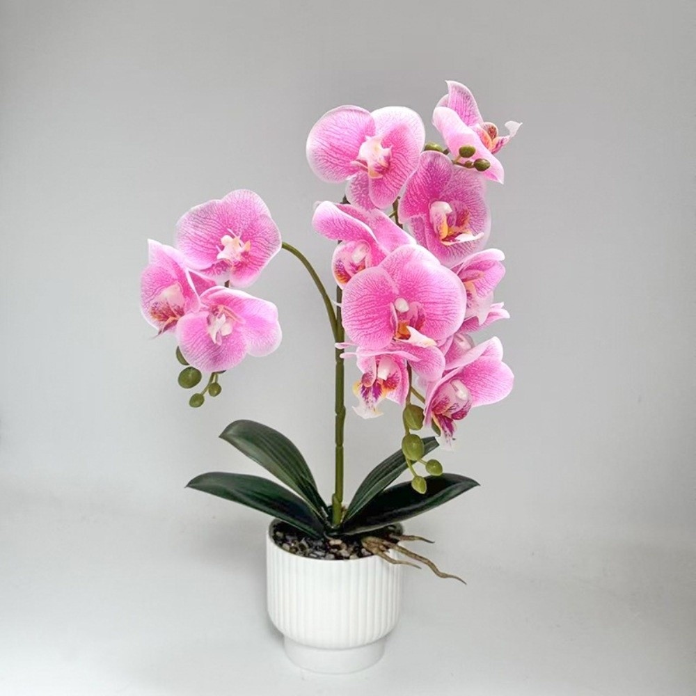 Multi-Bloom Simulated Butterfl - Orchid Potting Mix ulasan dan harga