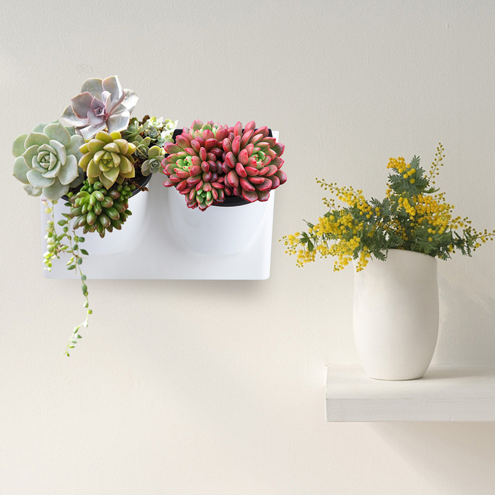 Self Watering Flower Pot Plast - Self-Watering Planter ulasan dan harga