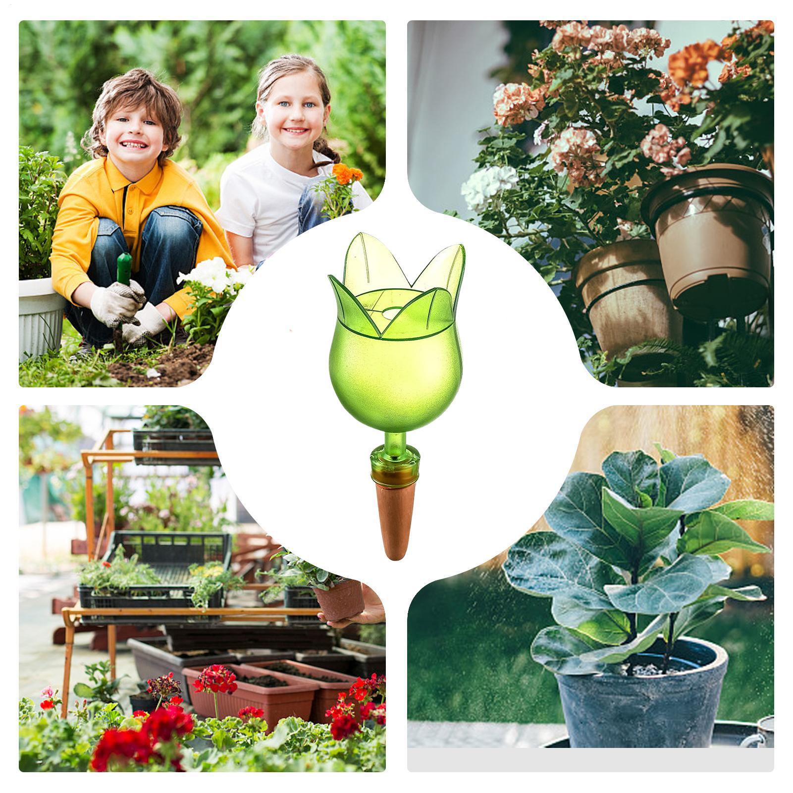 Plant Self Watering Devices Pl - Self-Watering Planter ulasan dan harga