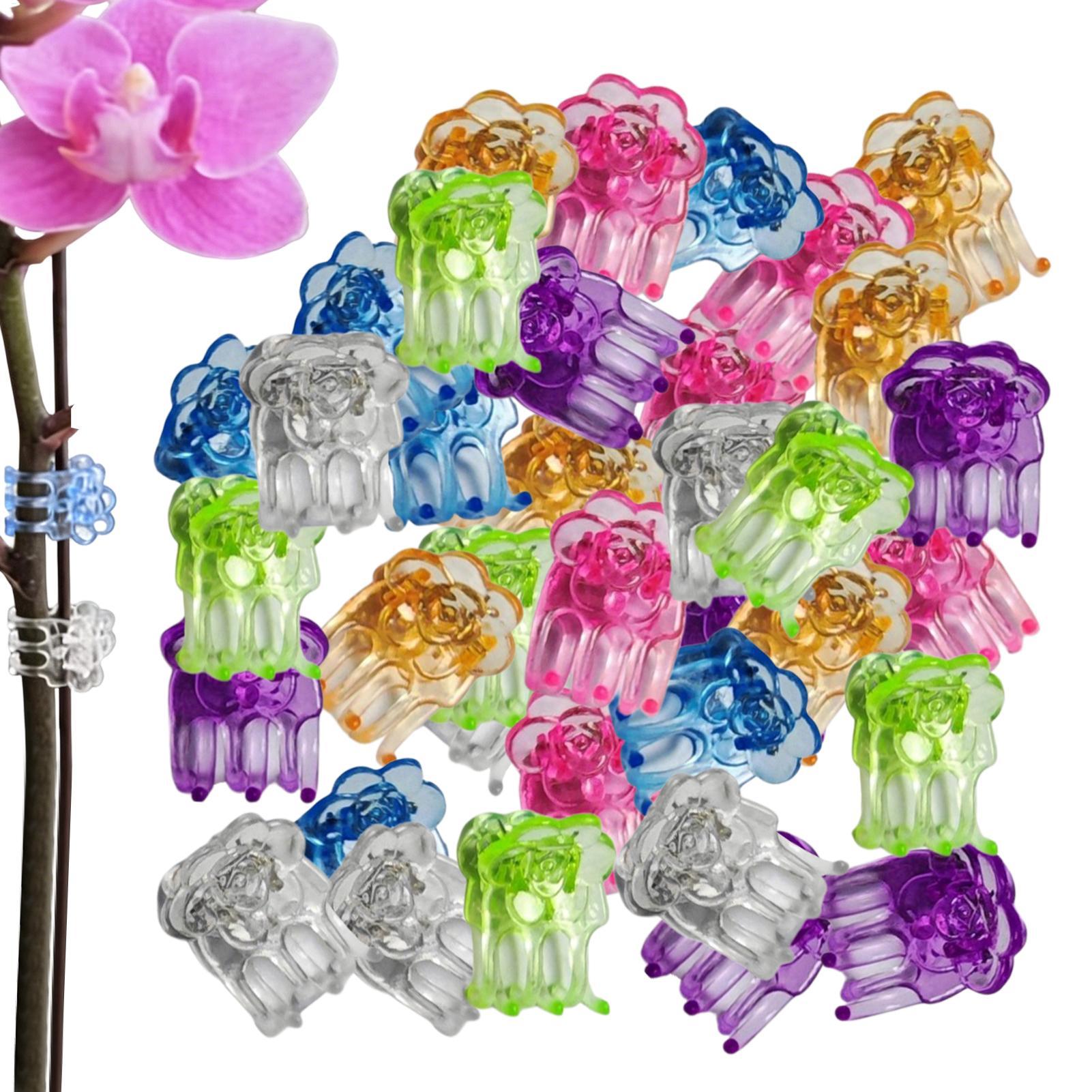 Orchid Clips 60 Pieces Butterf - Orchid Potting Mix ulasan dan harga