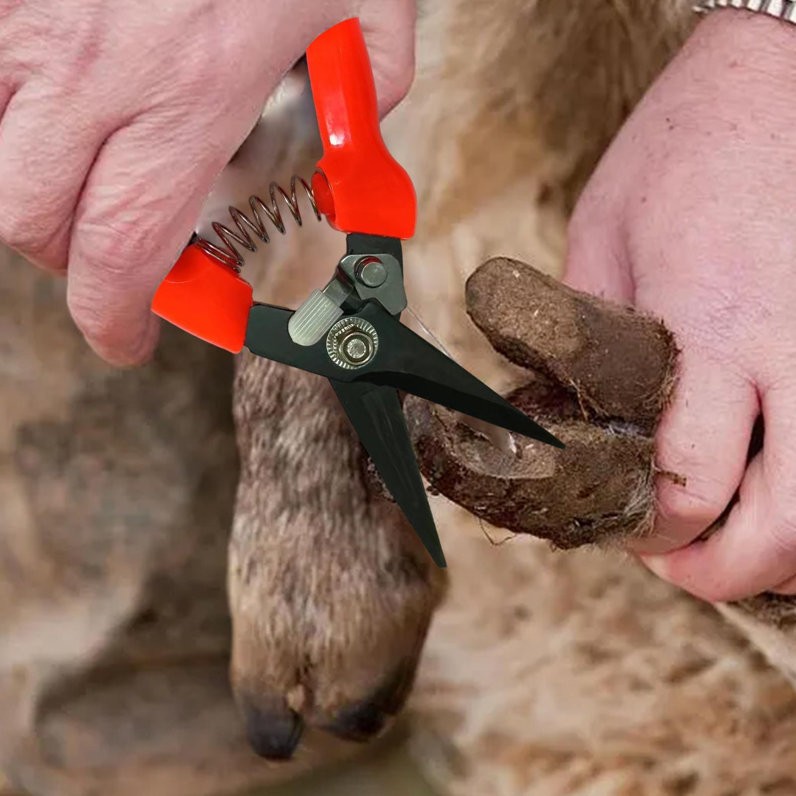 Sheep Hoof Trimmers Shrub Plan - Garden Hand Trowel ulasan dan harga