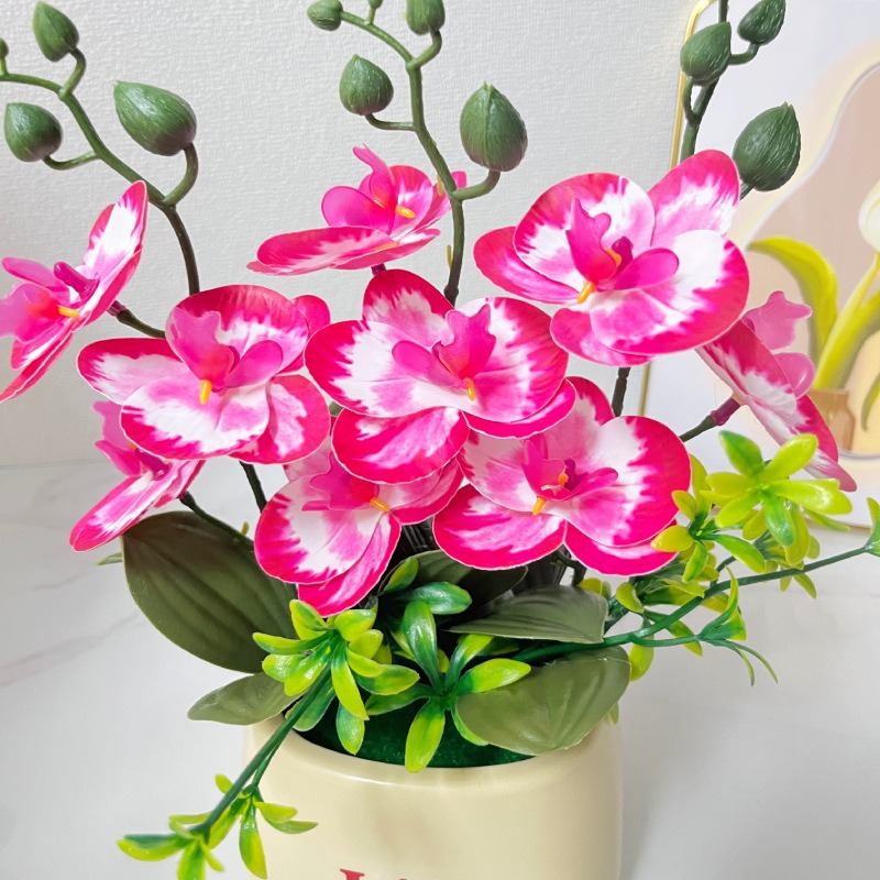Elegant Nordic Style High-End  - Orchid Potting Mix ulasan dan harga