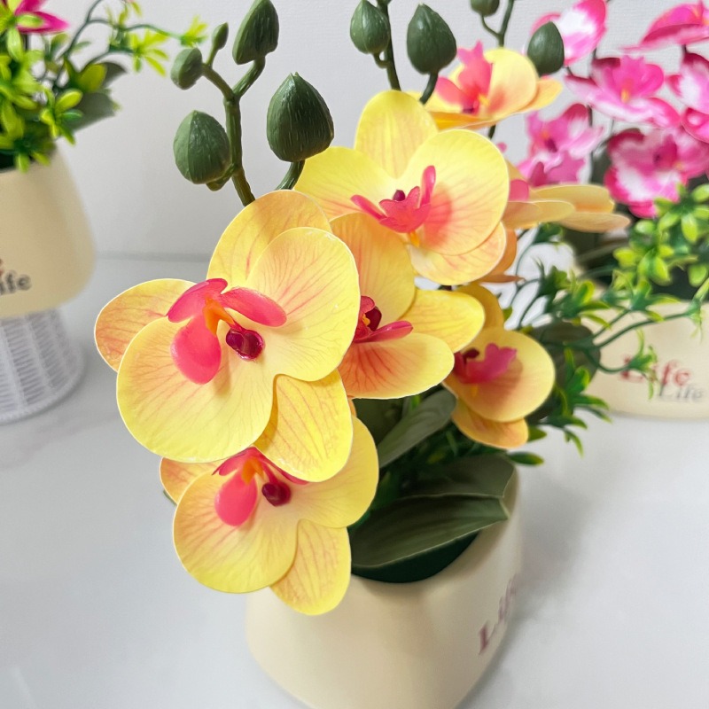 Elegant Nordic Style High-End  - Orchid Potting Mix ulasan dan harga