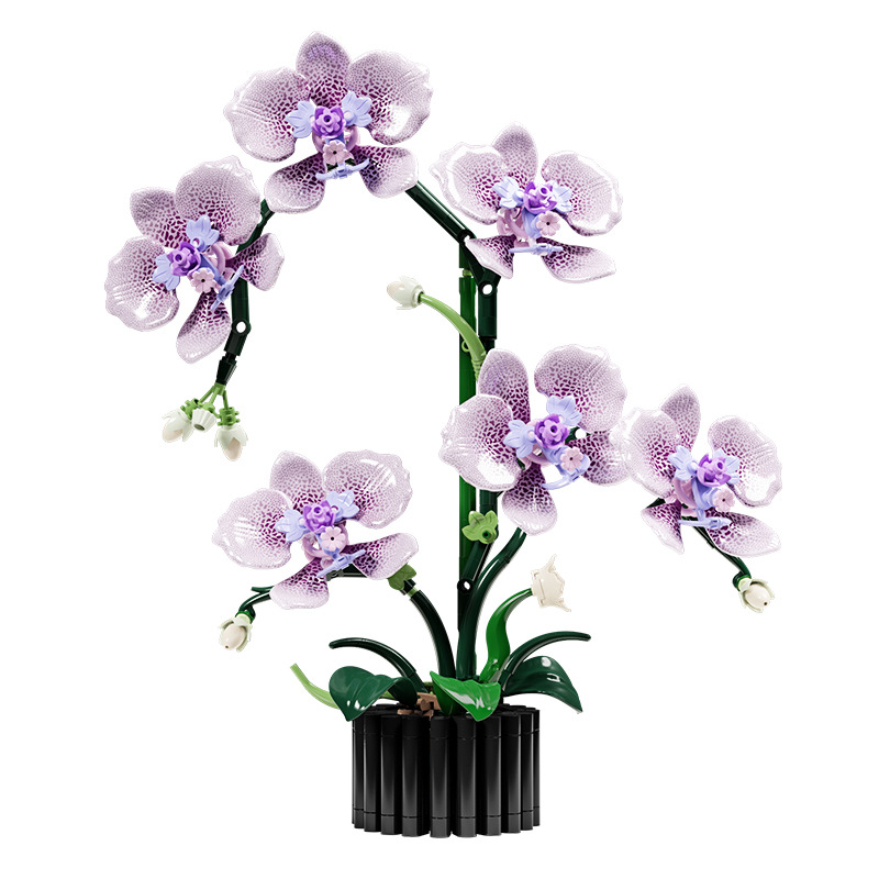 619PCS Phalaenopsis Building B - Orchid Potting Mix ulasan dan harga