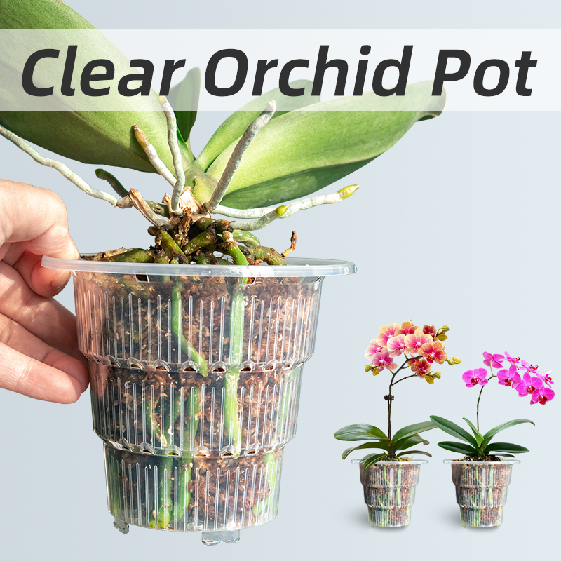 Meshpot Clear Plastic Orchid P - Orchid Potting Mix ulasan dan harga