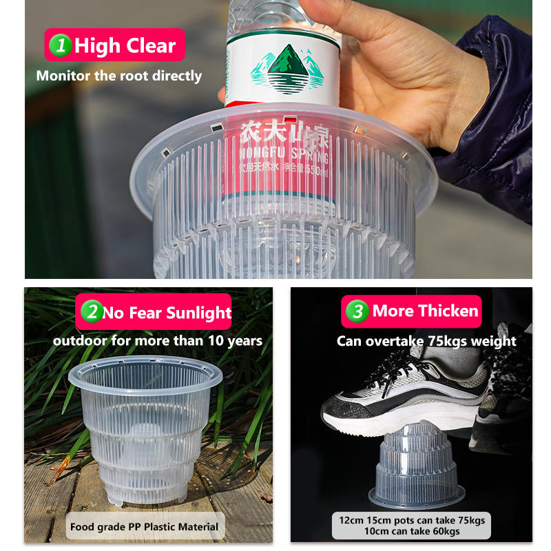 Meshpot Clear Plastic Orchid P - Orchid Potting Mix ulasan dan harga