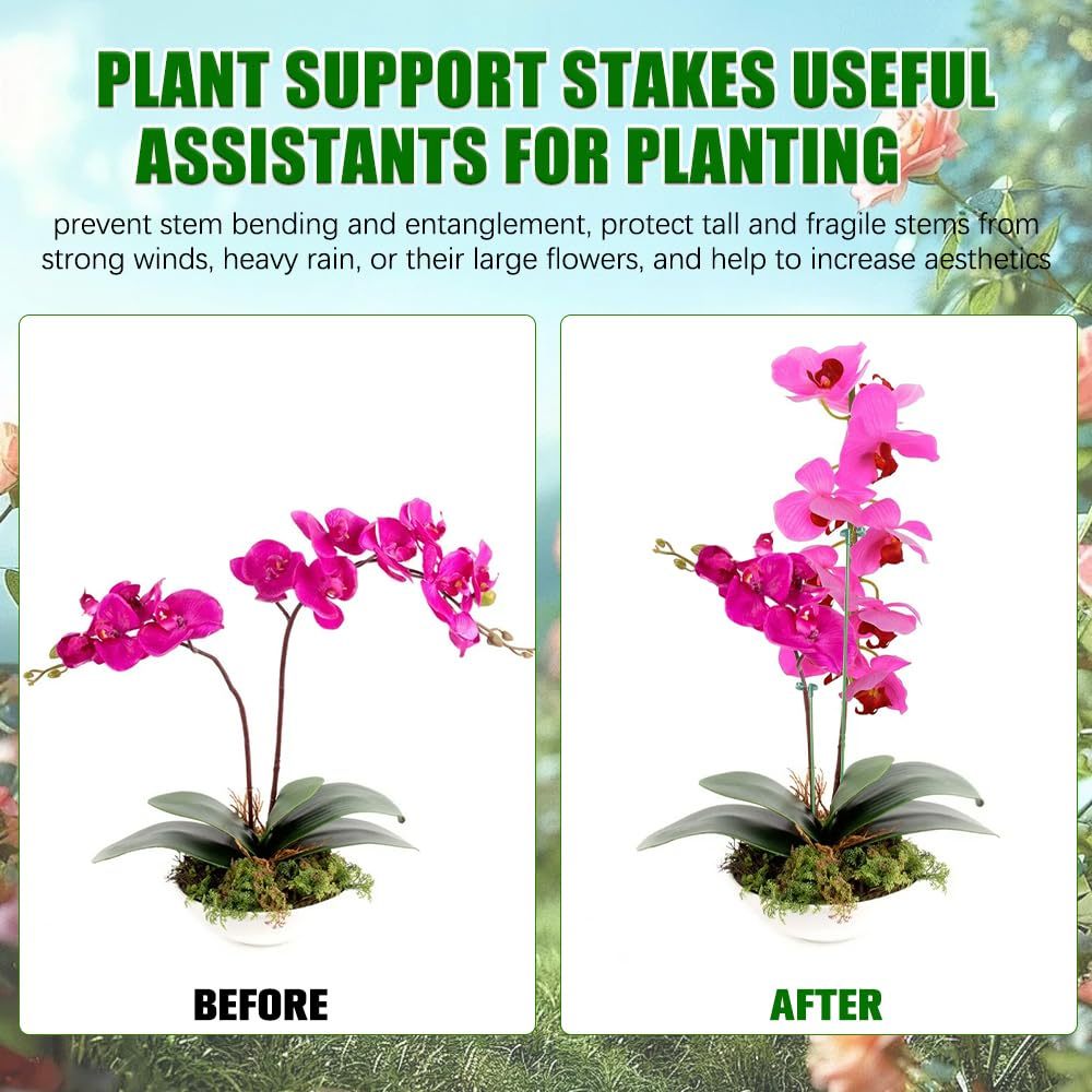 5/10PCS Plant Supports Stand B - Orchid Potting Mix ulasan dan harga