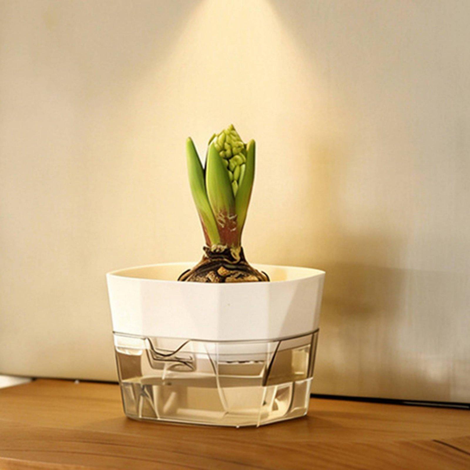 Hydroponic Vase Two Layer Self - Self-Watering Planter ulasan dan harga
