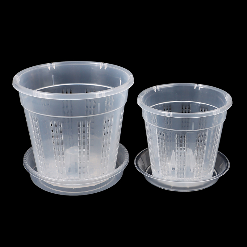 Household Garden Planter Hollo - Orchid Potting Mix ulasan dan harga