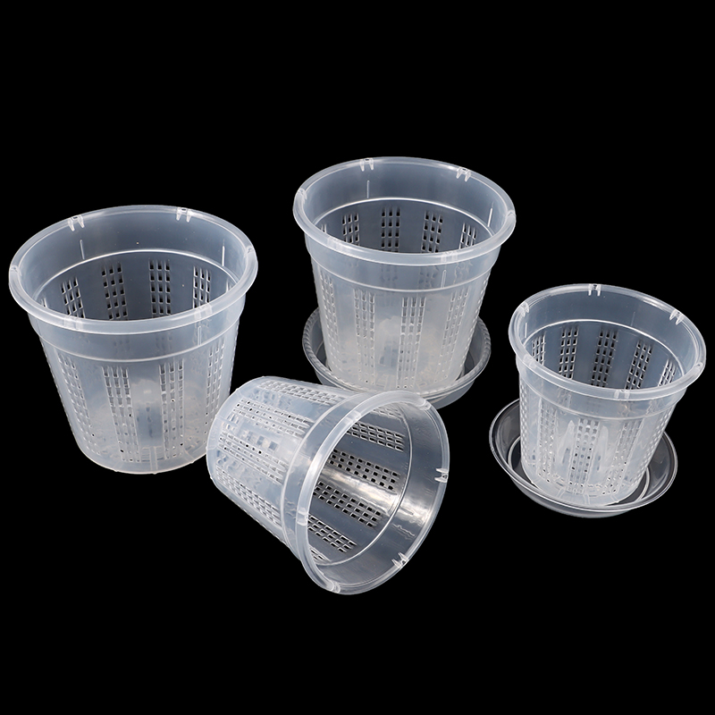 Household Garden Planter Hollo - Orchid Potting Mix ulasan dan harga