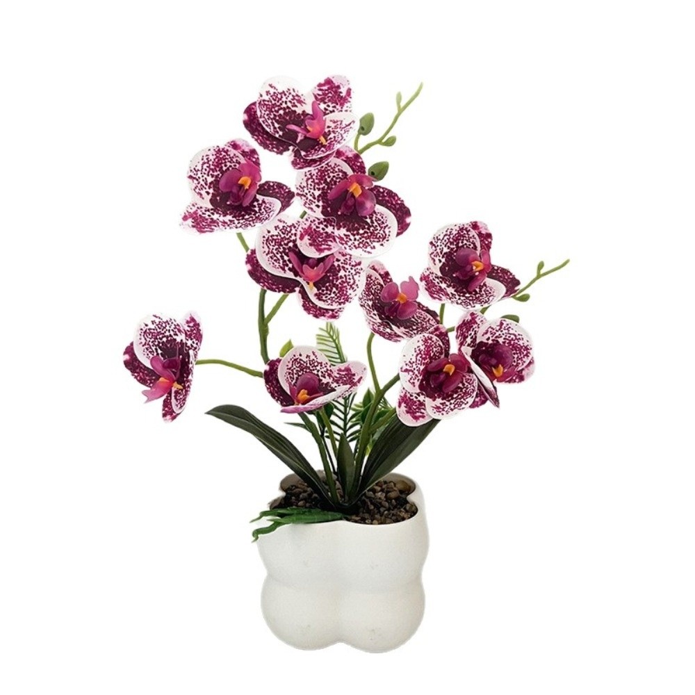 Multi-Bloom Simulated Butterfl - Orchid Potting Mix ulasan dan harga