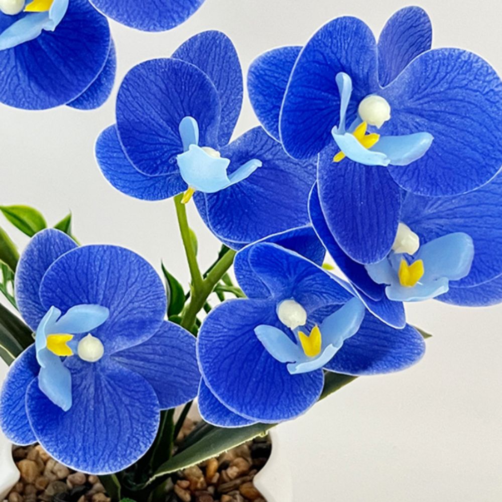 Multi-Bloom Simulated Butterfl - Orchid Potting Mix ulasan dan harga