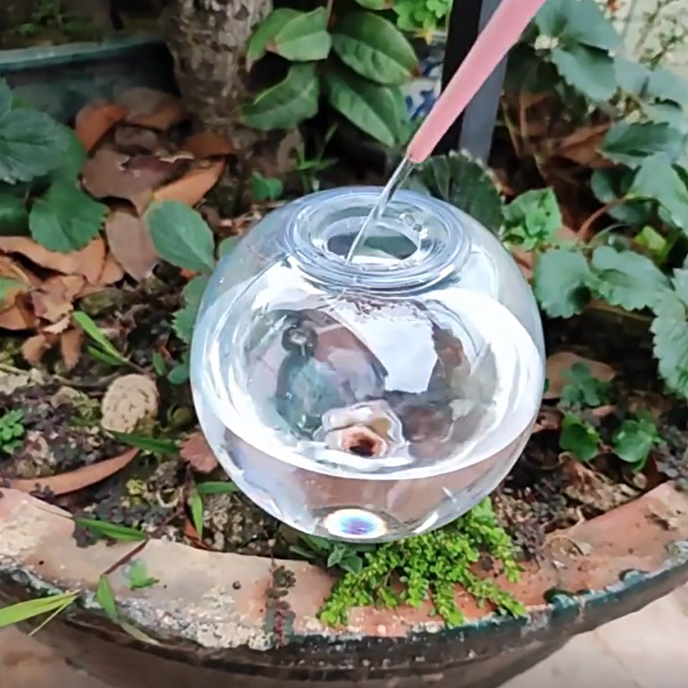 500ML Self Watering Globes Dri - Self-Watering Planter ulasan dan harga