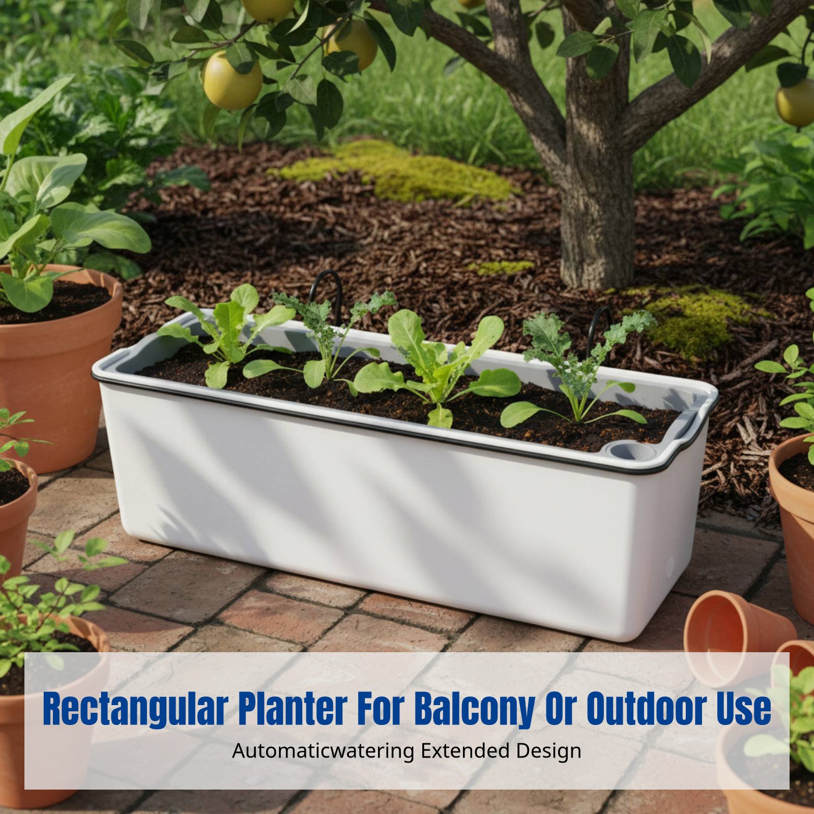 Balcony Hanging Flower Pot Rec - Self-Watering Planter ulasan dan harga