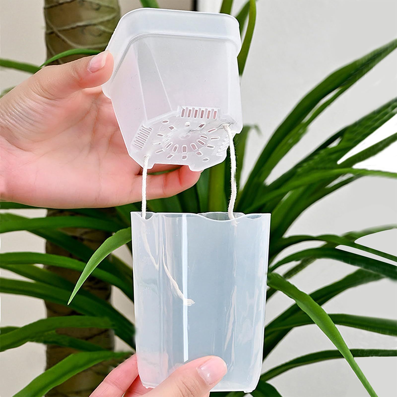 16/32 Pack Self-Watering Plant - Self-Watering Planter ulasan dan harga
