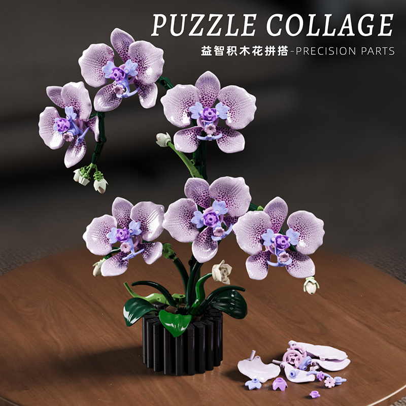619PCS Phalaenopsis Building B - Orchid Potting Mix ulasan dan harga