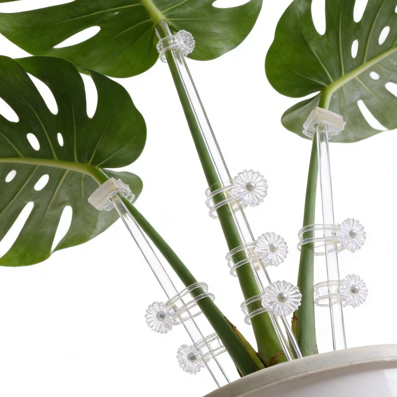 Reusable Clear Flower Support  - Orchid Potting Mix ulasan dan harga