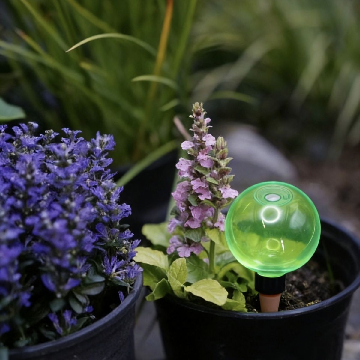 3pcs Large Plant Self Watering - Self-Watering Planter ulasan dan harga