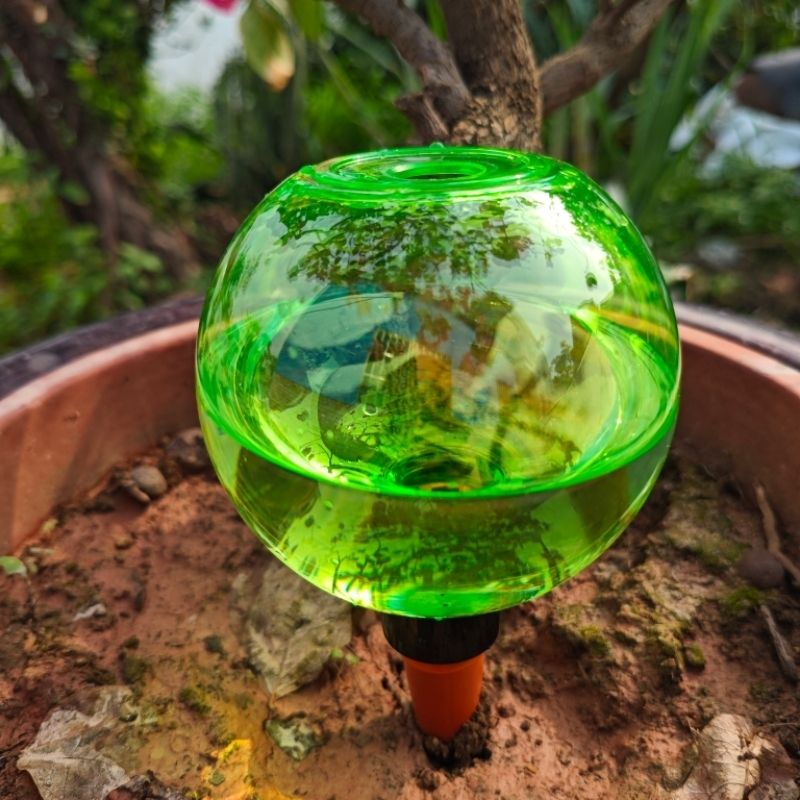 3pcs Large Plant Self Watering - Self-Watering Planter ulasan dan harga