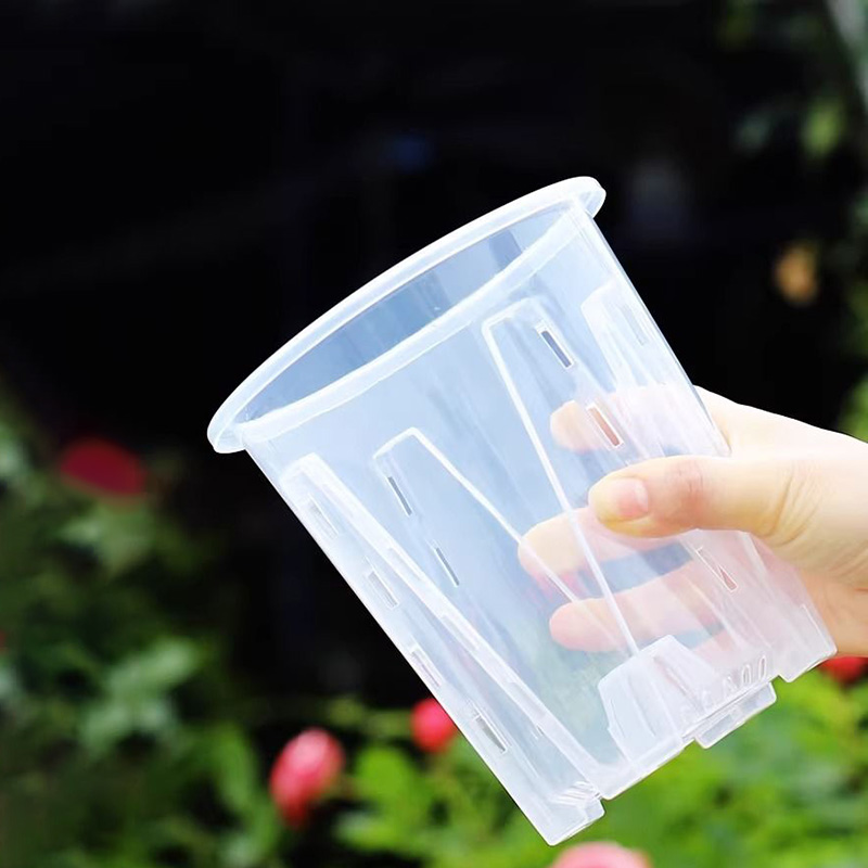 12cm for orchid Plant grow  Po - Orchid Potting Mix ulasan dan harga