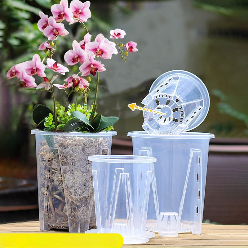 12cm for orchid Plant grow  Po - Orchid Potting Mix ulasan dan harga