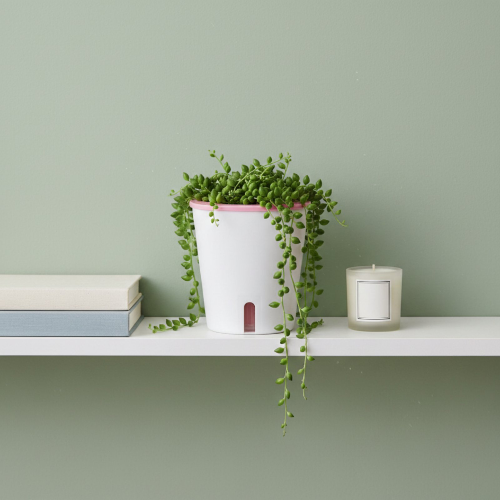 Self Watering Planter Large Si - Self-Watering Planter ulasan dan harga