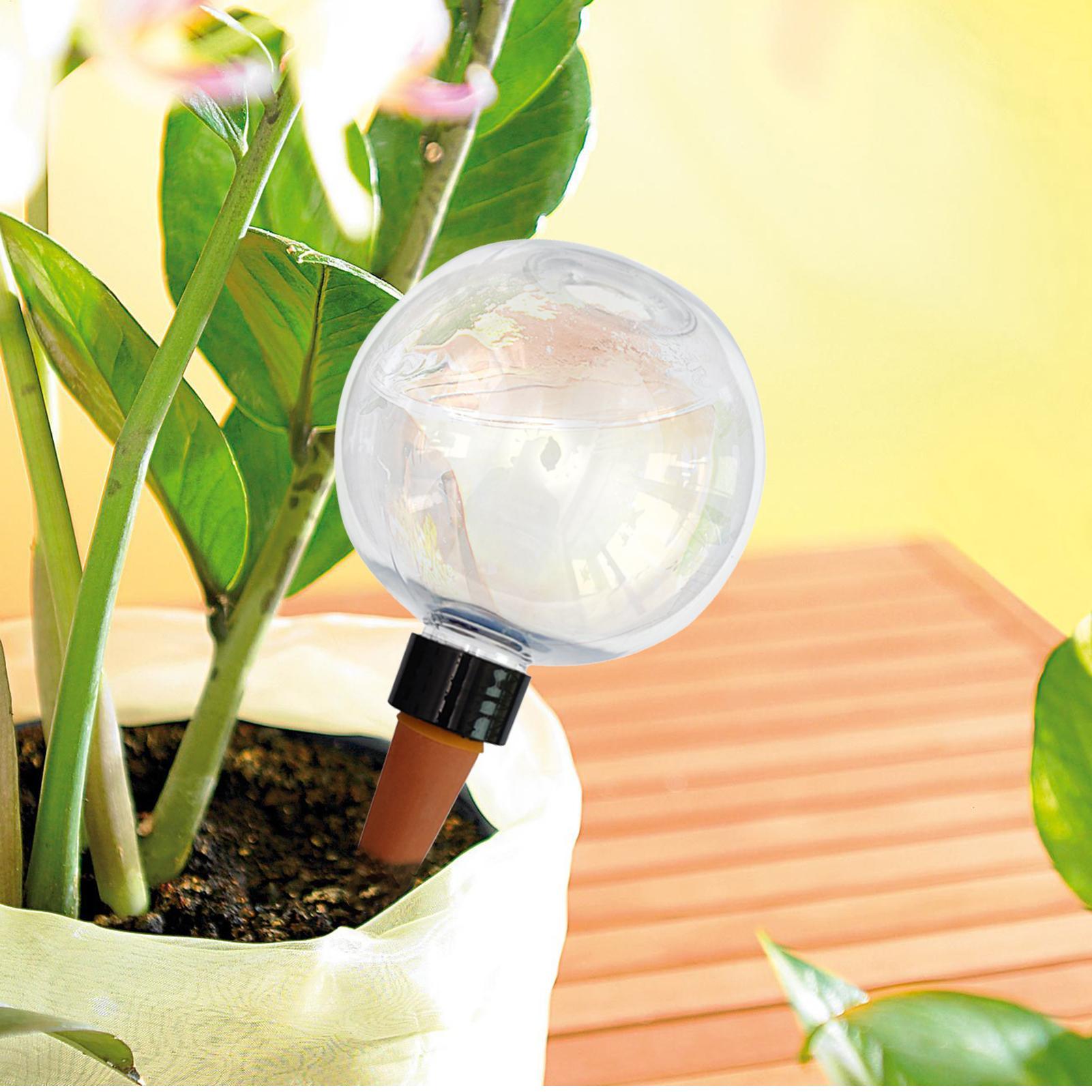 500ml Automatic Plant Watering - Self-Watering Planter ulasan dan harga