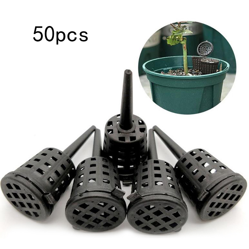 50 Pcs/pack Plants Fertilizer  - Orchid Potting Mix ulasan dan harga