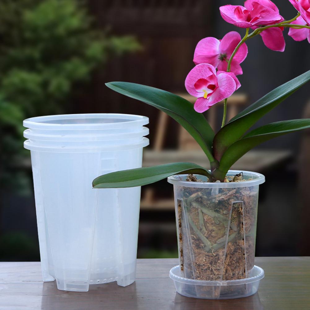 5PCS/Kit Clear Plastic Orchid  - Orchid Potting Mix ulasan dan harga