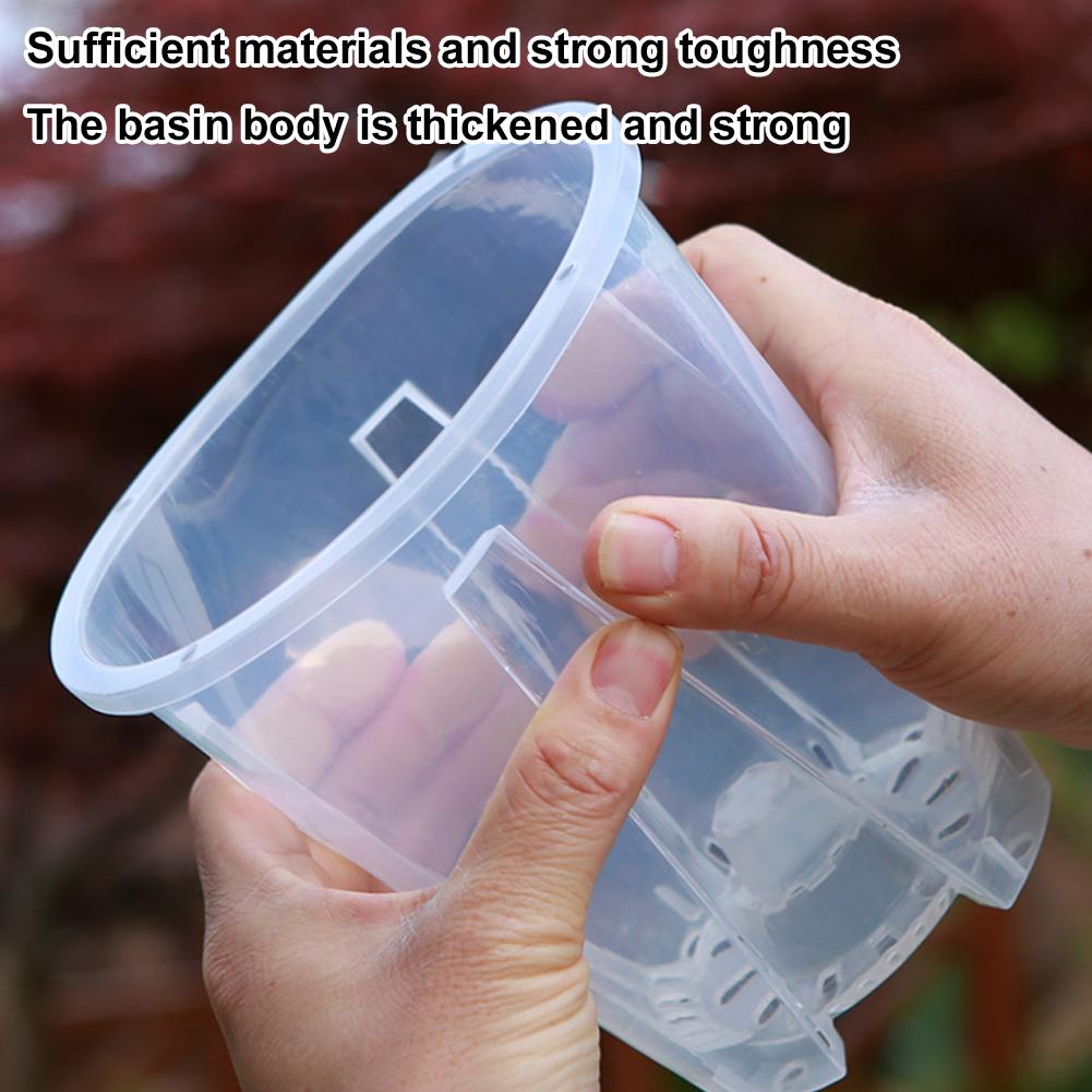 5PCS/Kit Clear Plastic Orchid  - Orchid Potting Mix ulasan dan harga