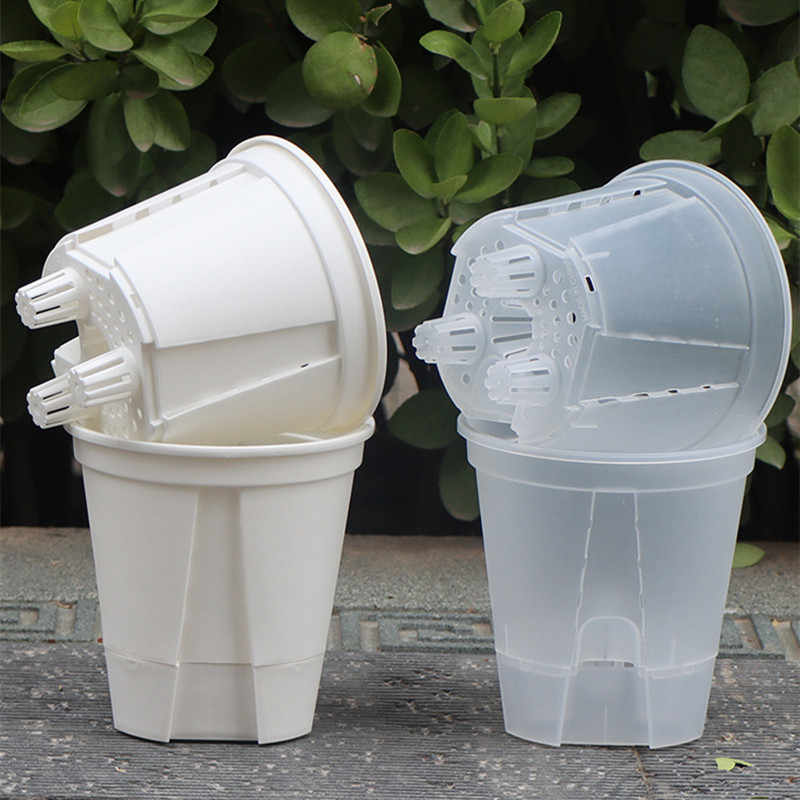 5pcs Transparent Orchid Pot wi - Orchid Potting Mix ulasan dan harga