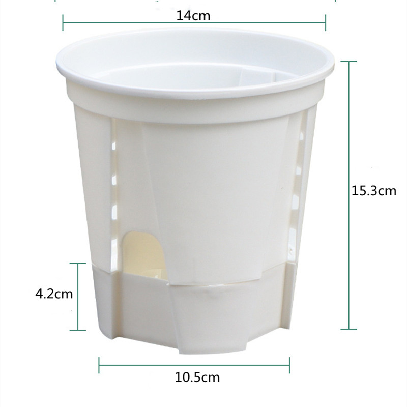 5pcs Transparent Orchid Pot wi - Orchid Potting Mix ulasan dan harga