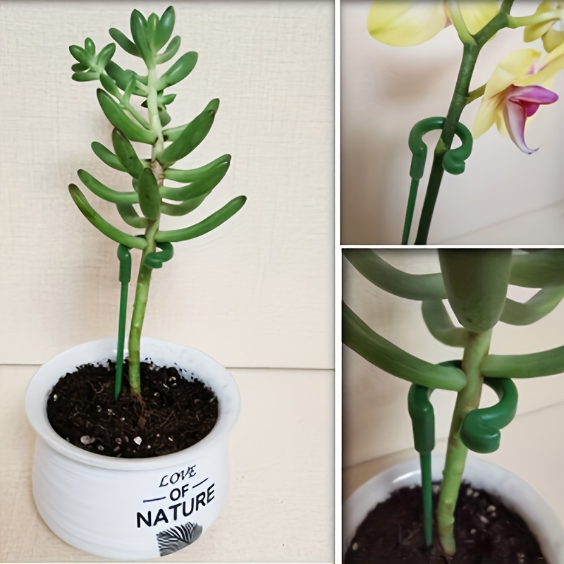6Pcs Green Plastic Plant Suppo - Orchid Potting Mix ulasan dan harga