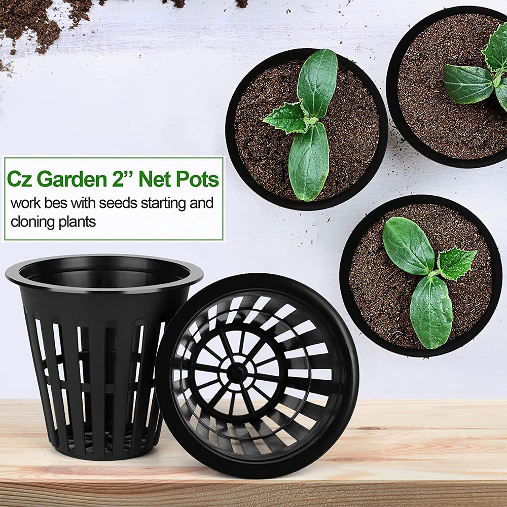 2inch Garden Nursery Pots Plan - Orchid Potting Mix ulasan dan harga