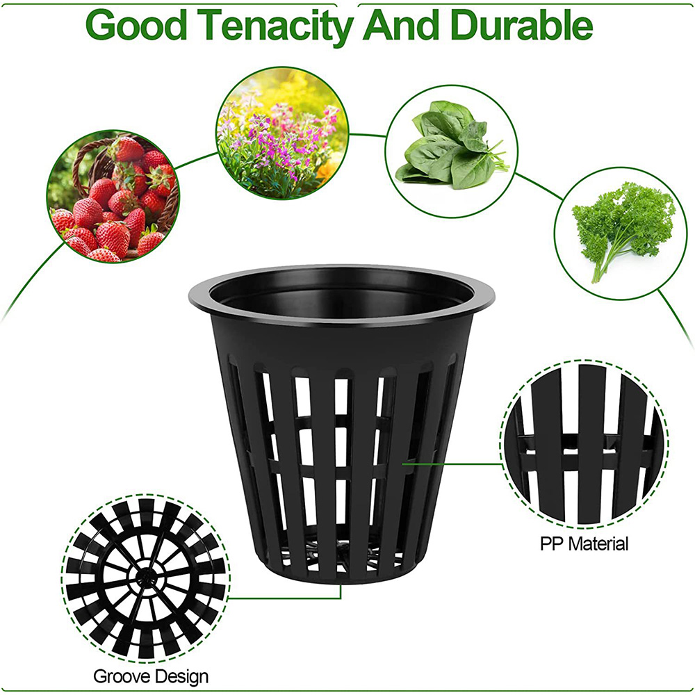 2inch Garden Nursery Pots Plan - Orchid Potting Mix ulasan dan harga
